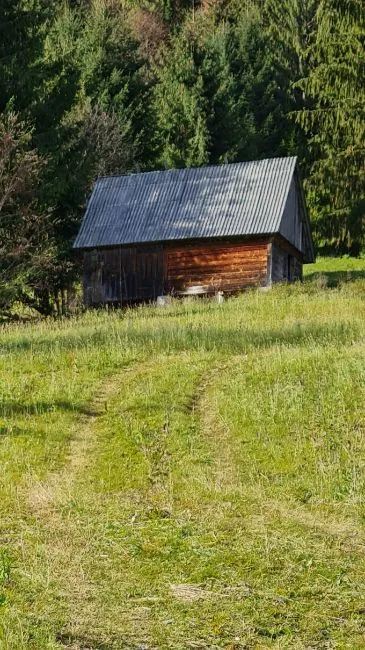 Działka budowlana Na sprzedaż - 517680 Scărisoara  RO Image 1